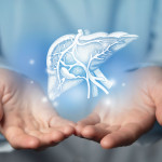 Hepatologist doctor, liver specialist. Aesthetic handdrawn highlighted illustration of human liver.