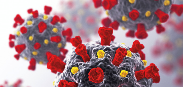 coronavirus