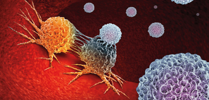 Cancer Immunotherapy as a human immune system therapy concept as a biomedical or biomedicine oncology treatment using the natural T cell fighting properties of the body as a 3D render.
