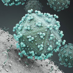 HIV Virus