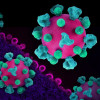 Layout featuring colorized 3D prints of HIV virus particles (pink with teal surface proteins) and a background image that is a colorized transmission electron micrograph of HIV virus particles (pink) budding and replicating from an H9 T cell (purple). Mic