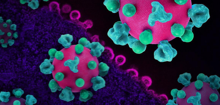 Layout featuring colorized 3D prints of HIV virus particles (pink with teal surface proteins) and a background image that is a colorized transmission electron micrograph of HIV virus particles (pink) budding and replicating from an H9 T cell (purple). Mic