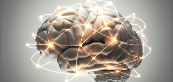 illustration of the brain