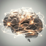 illustration of the brain