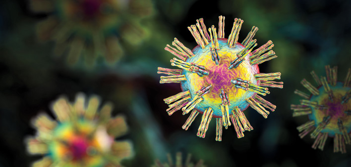 Herpes Virus