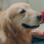 WeatherTech Super Bowl commercial
