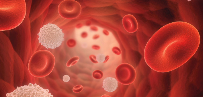 illustrarion of blood cells