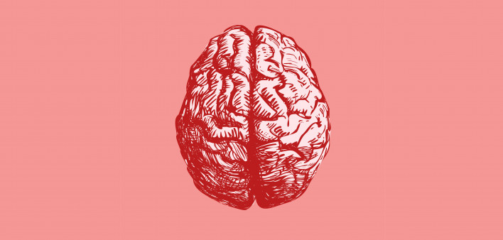 Brain