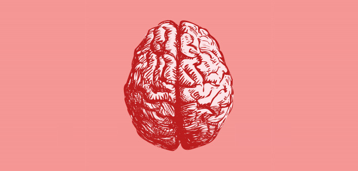 Brain