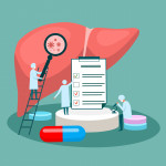 tiny doctor character diagnoses liver. vector illustration.