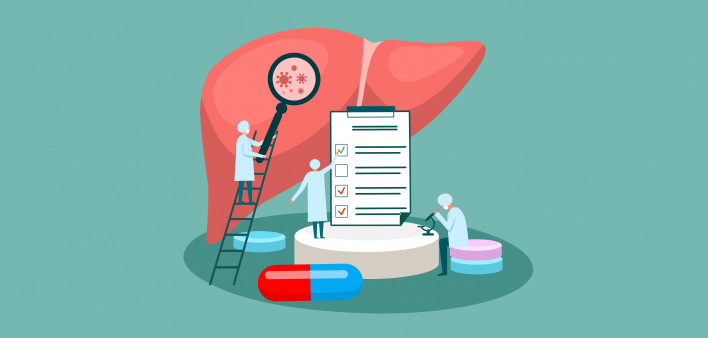 tiny doctor character diagnoses liver. vector illustration.