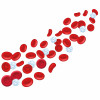 blood cells red blood cells white blood cells