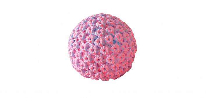HPV human papillomavirus