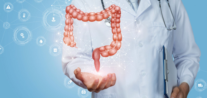 Doctor shows the colon of a person