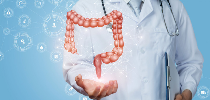 Doctor shows the colon of a person
