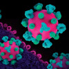CD4 cells