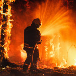 Professional Firefighter Extinguishing Large, High-Priority Part of the Forest Fire.