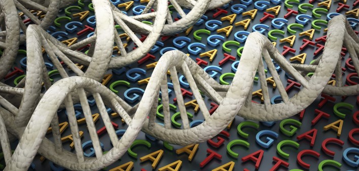 DNA an ACTG letters depicting gene sequence