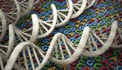 DNA an ACTG letters depicting gene sequence