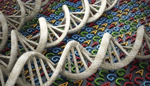 DNA an ACTG letters depicting gene sequence