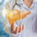 Doctor and liver illustration