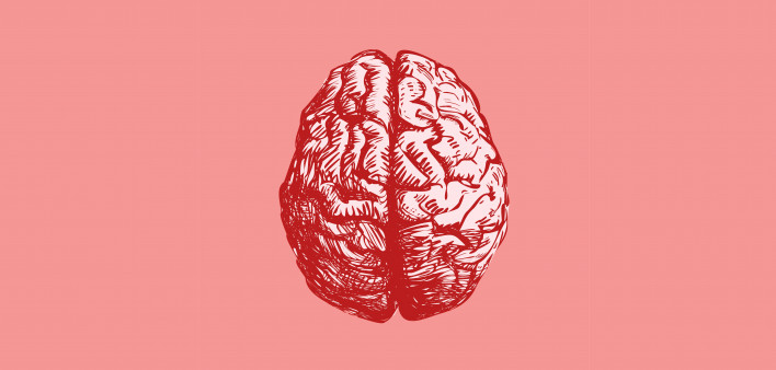 Brain