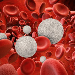 White blood cells with red blood cells