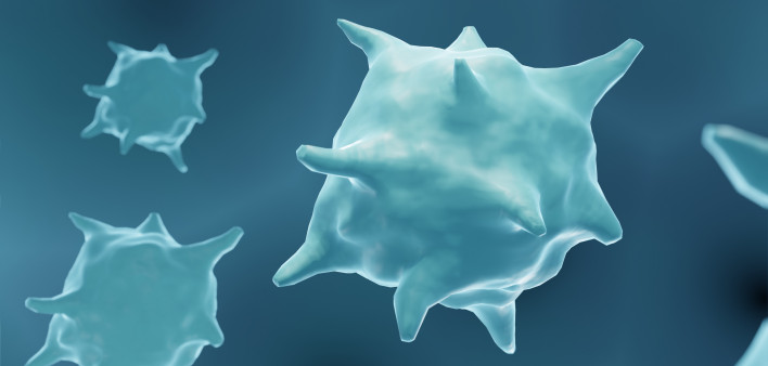 macrophage