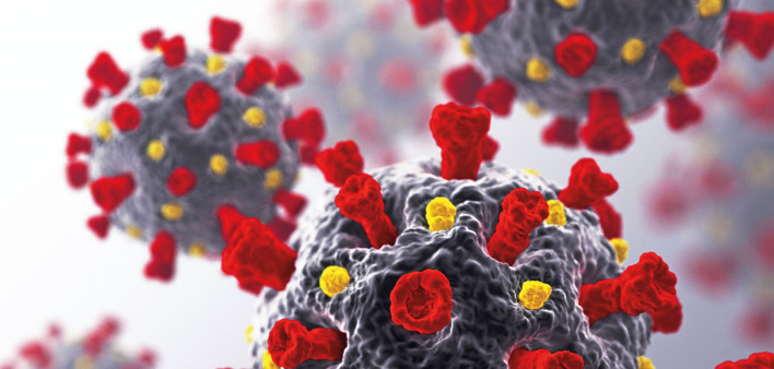 coronavirus