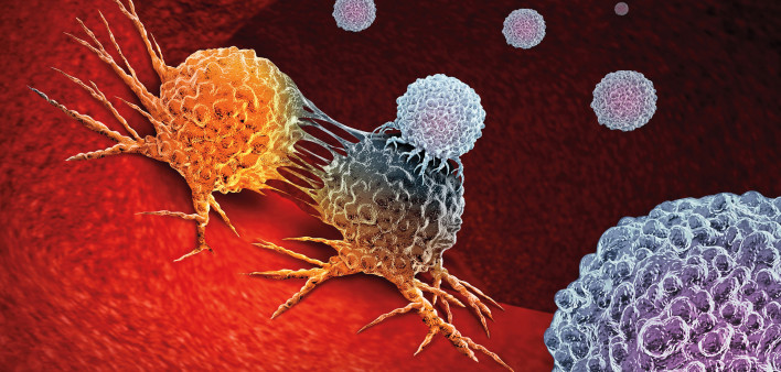 Cancer Immunotherapy as a human immune system therapy concept as a biomedical or biomedicine oncology treatment using the natural T cell fighting properties of the body as a 3D render.