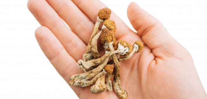 hand and mushrooms