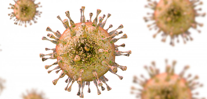 CMV Virus