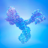 Broadly neutralizing antibodies (bnAbs)