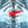 The pancreas produces enzymes that help digest food. Cells within the organ also produce the hormones insulin and glucagon, which control blood sugar levels.