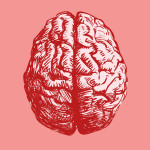 Brain