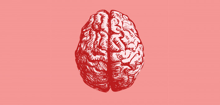 Brain
