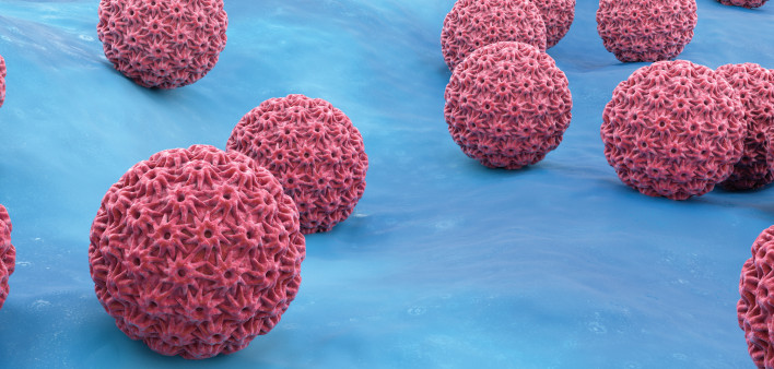 HPV virus