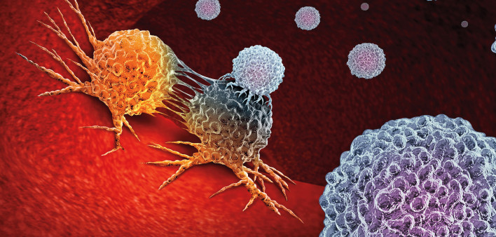 Cancer Immunotherapy as a human immune system therapy concept as a biomedical or biomedicine oncology treatment using the natural T cell fighting properties of the body as a 3D render.