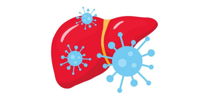 hepatitis C, HCV, liver. illustration liver and virus