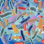 abstract image of colorful bacteria