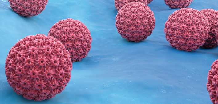 HPV virus