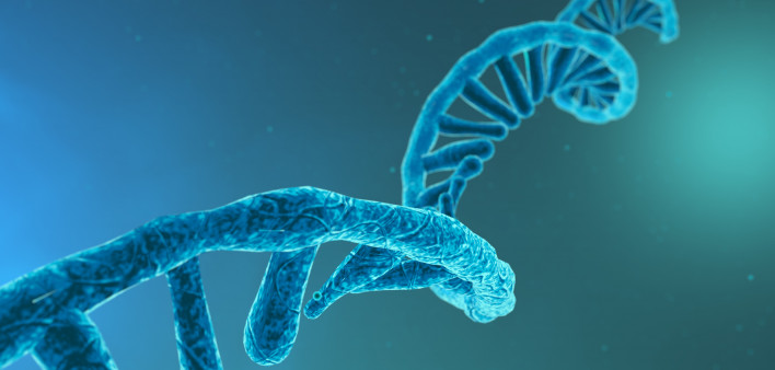 RNA strand