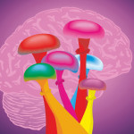 . Abstract colorful mushrooms in middle, brain in background. Magic mushrooms, psychedelic drug, treatment and discussion in research, treatment depression. Effects on brain.