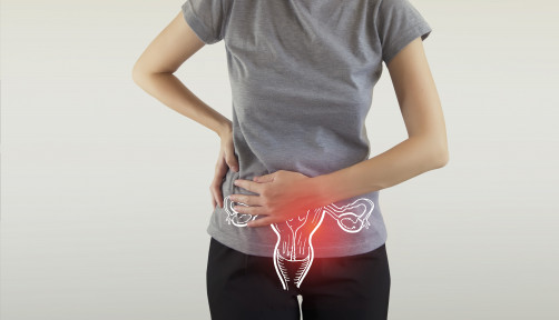 Ovulation, Cervical Cancer, Infographic, Vagina