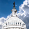 The U.S. Capitol