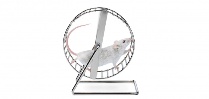 white mouse on wheel