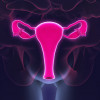 Female reproductive system
