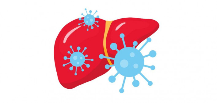 hepatitis C, HCV, liver. illustration liver and virus