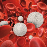 3d rendering white blood cells with red blood cells