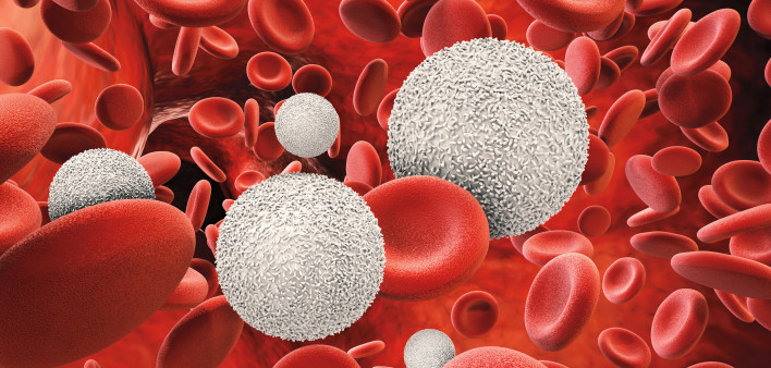 3d rendering white blood cells with red blood cells